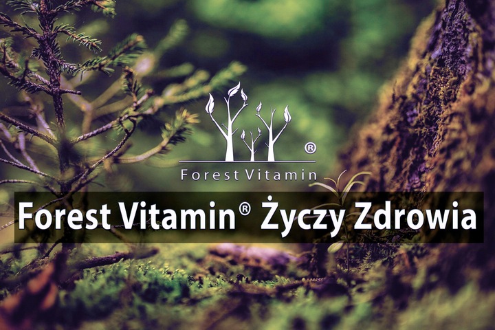 GLUKOZAMINA 2KCL 1000mg 100 KAPSUŁEK STAWY MOCNA