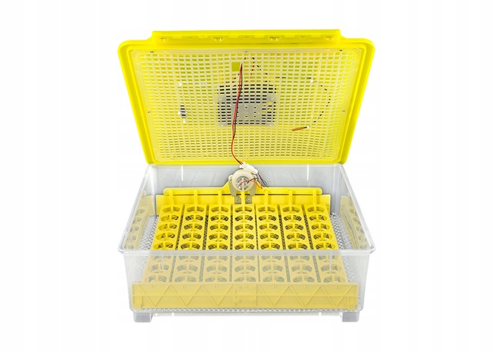 Kompletny zestaw INKUBATOR AUTOMATYCZNY DINO do 56 JAJ DROBIU Różne GATUNKI