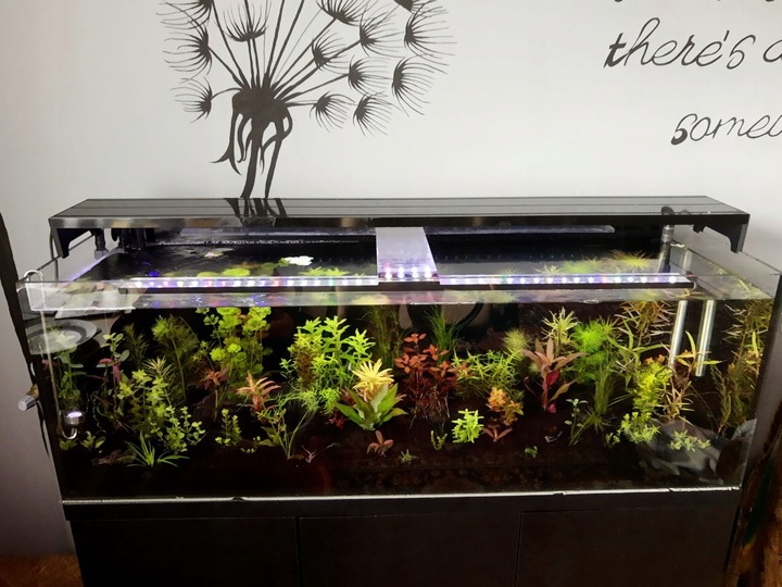 LAWA LAWA WULKANICZNA 2-8 mm 25 kg ŻWIREK AKWARIUM NA DNO