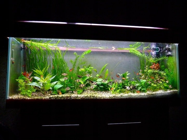 NATURALNY ŻWIREK 1-4 mm 25 kg AKWARIUM