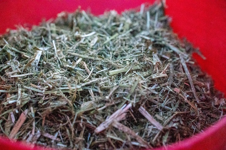 Sieczka Hartog Lucerne Mix 18 kg sieczka dla koni z lucerny