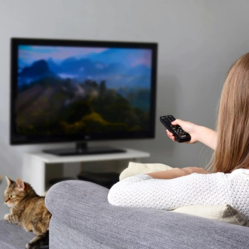 DEKODER TUNER TV NAZIEMNEJ HD DVB-T2 HEVC H.265