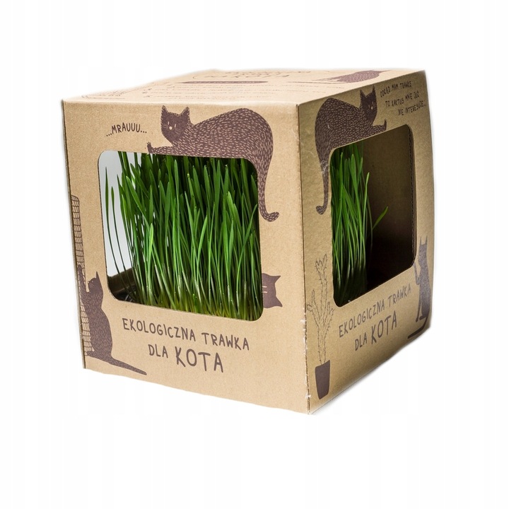 Ekologiczna trawa dla kotów koci przysmak trawka wyrośnięta świeża trawka