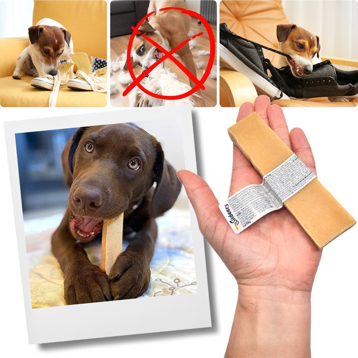 NATURALNY GRYZAK DLA PSA Z SERA HIMALAJSKIEGO SEREK M PRZEKĄSKA