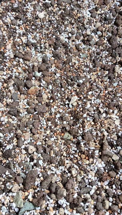 Botanic Soil Succulent 5l Podłoże do sukulentów,bigos ziemia