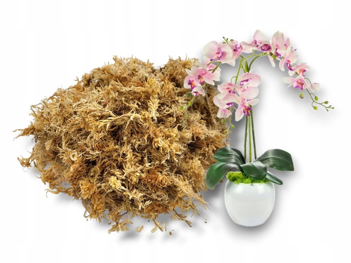 Mech torfowiec Sphagnum Spagmoss gotowy do użycia 3L TerraQuality
