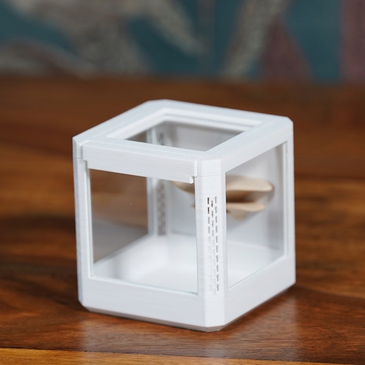 Terrarium szklane -6,5 x 6,5 x 6,5 dla pająka, modliszki, skakuna