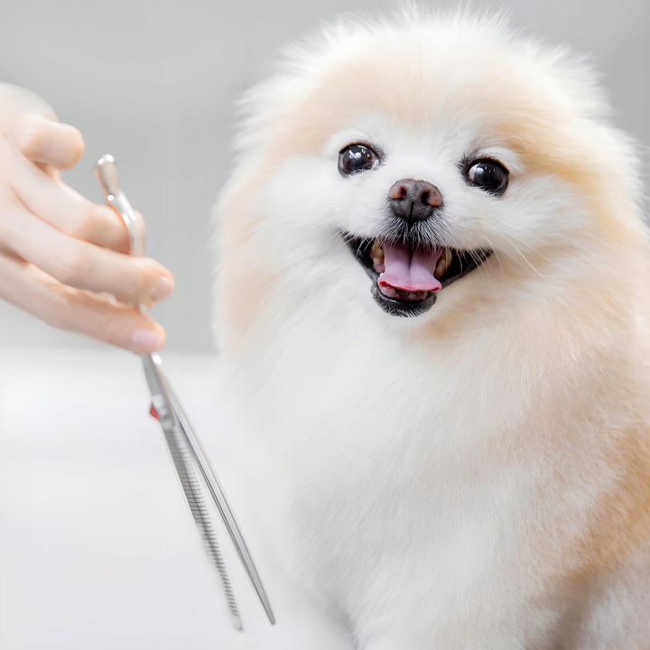 MASZYNKA DO STRZYŻENIA PSA ZWIERZĄT ZESTAW PSÓW BEZPRZEWODOWA CICHA LCD 9W