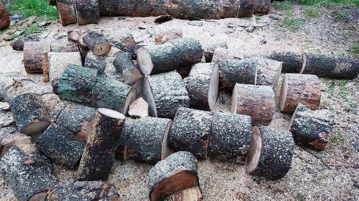 PIŁA SPALINOWA PILARKA ŁAŃCUCHOWA DO DREWNA 2X ŁAŃCUCH 2X PROWADNICA 2xOLEJ