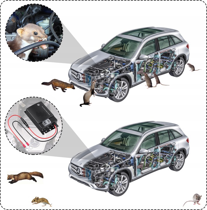 SAMOCHODOWY ODSTRASZACZ GRYZONI KUN SZCZURÓW MYSZY SKUTECZNY I