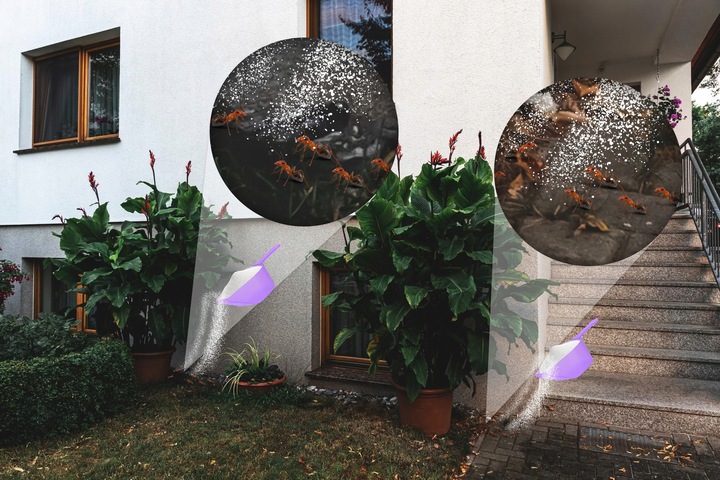 SILNY PROSZEK ŚRODEK PREPARAT NA MRÓWKI GNIAZDA MRÓWEK MROWISKA 1KG EFFECT