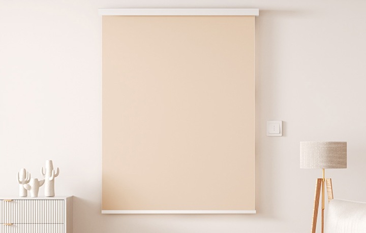 Sonoff MINI-ZBRBS Inteligentny Mini Przełącznik Do Rolet ZigBee 3.0