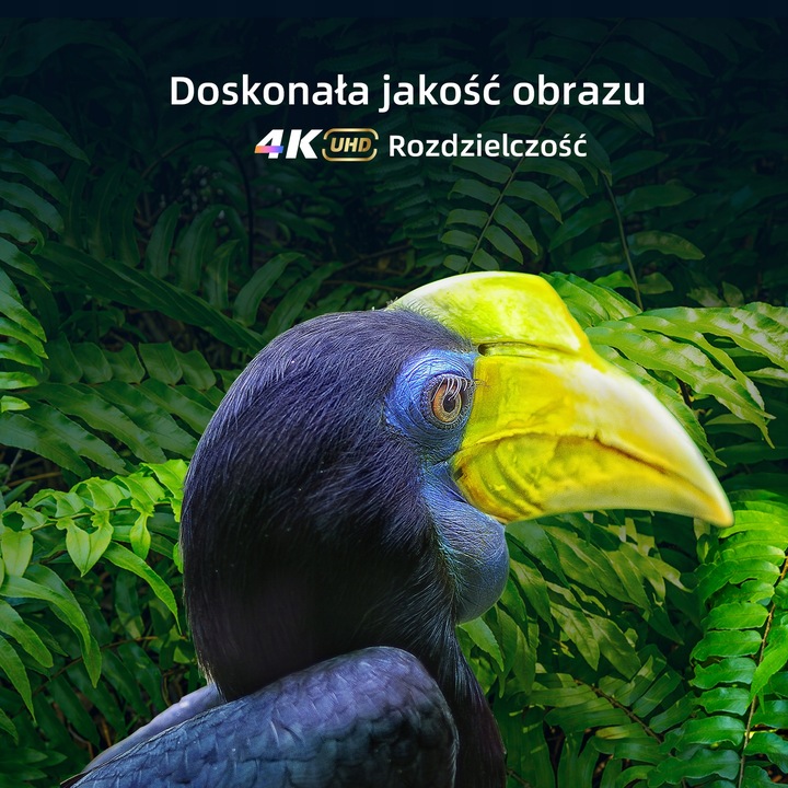 Telewizor CHiQ 50" 4K UHD Smart TV Android11