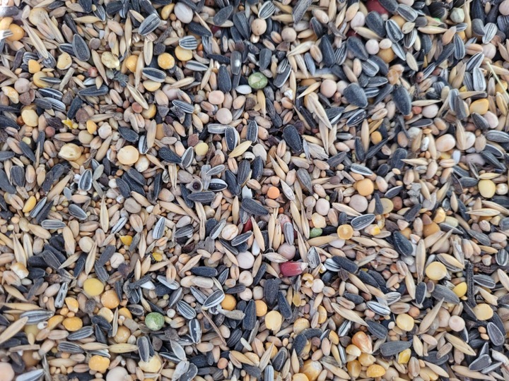 Karma ziarno pokarm dla ptaków zimujących ze słonecznikiem 20kg