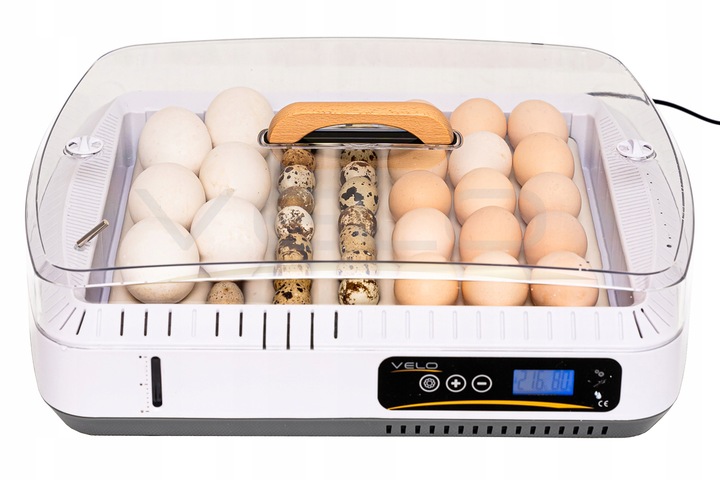INKUBATOR AUTOMATYCZNY VELO na 35 JAJ do KURZYCH INDYCZYCH GĘSICH KACZYCH