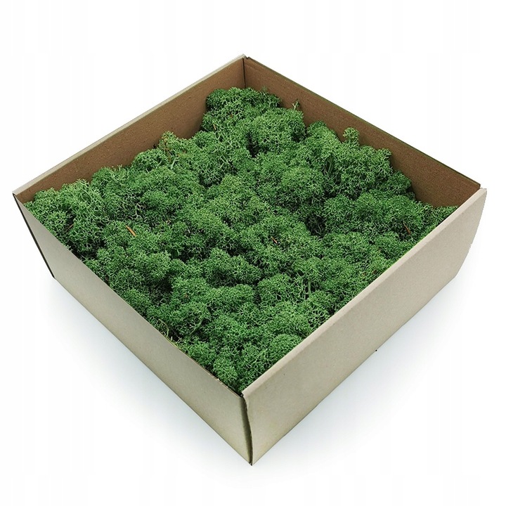 500g MECH CHROBOTEK reniferowy zielony NORWESKI