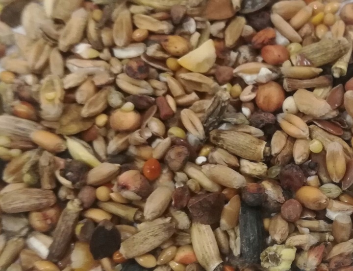 KARMA DLA DZIKICH PTAKÓW O-MIX ZIARNO 25kg