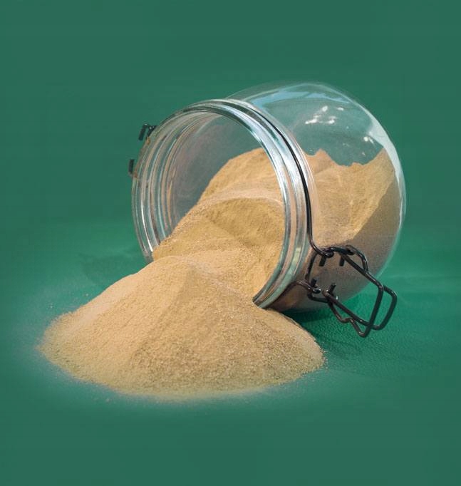 Wapno Ogrodowe Nawozowe Idealne Do Warzyw Owoców JESIEŃ Dolomit Sypki