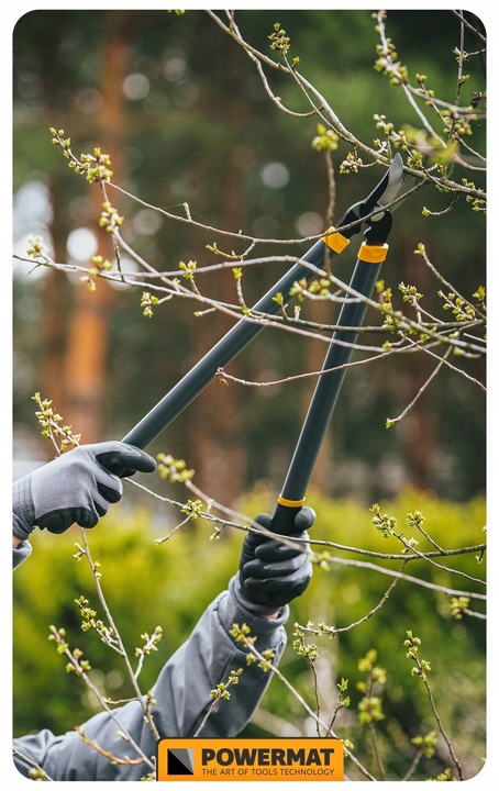 ZESTAW SEKATORÓW I NOŻYC OGRODOWYCH DO GAŁĘZI KRZEWÓW ŻYWOPŁOTU 3 SZT
