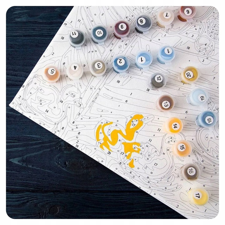 MALOWANIE PO NUMERACH Z RAMĄ Obrazy Do Malowania Po Numerach 40x50 ARTNAPI