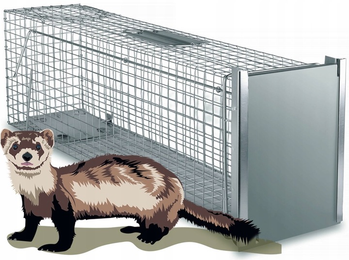 ŻYWOŁAPKA PUŁAPKA NA KUNY SZCZURY ŁASICE NORKI TCHÓRZE ŁASKI ŁAPKA