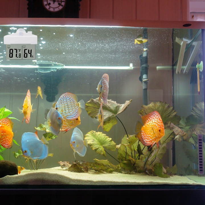 TERMOMETR ZEWNĘTRZNY WEWNĘTRZNY OKIENNY NA OKNO HIGROMETR CYFROWY °C/°F