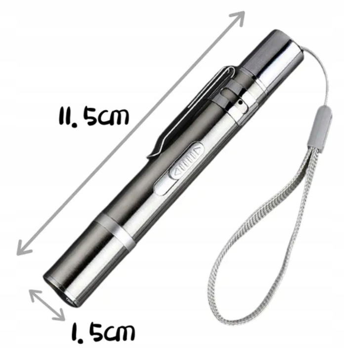 LASER dla kota WSKAŹNIK LASEROWY LATARKA USB 3w1