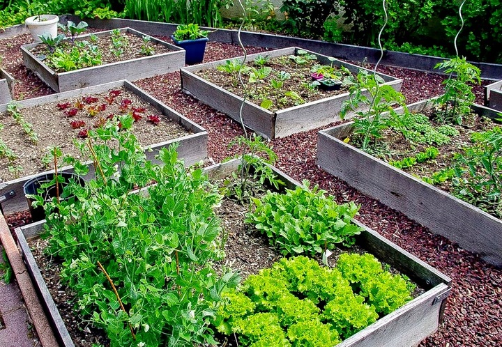 ZIEMIA UNIWERSALNA Do KWIATÓW warzyw OGRODOWA 65L Z NAWOZEM wysiew