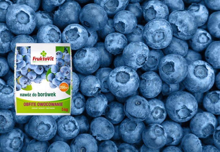 NAWÓZ DO BORÓWEK BORÓWKI AMERYKAŃSKIEJ KWAŚNOLUBNYCH ITP FRUKTOVIT 5