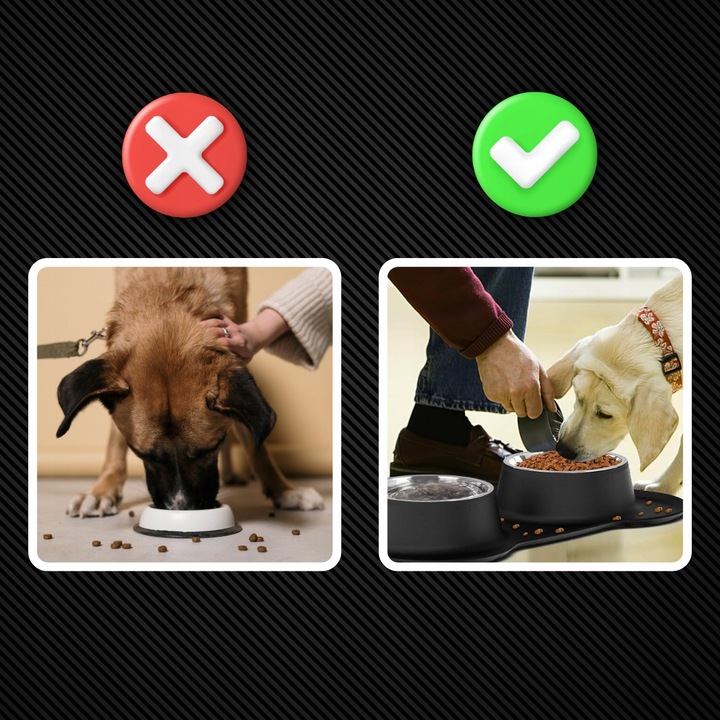 PODWÓJNA MISKA DLA PSA KOTA ANTYPOŚLIZGOWA + PODKŁADKA POD MISKI 2x450 ml