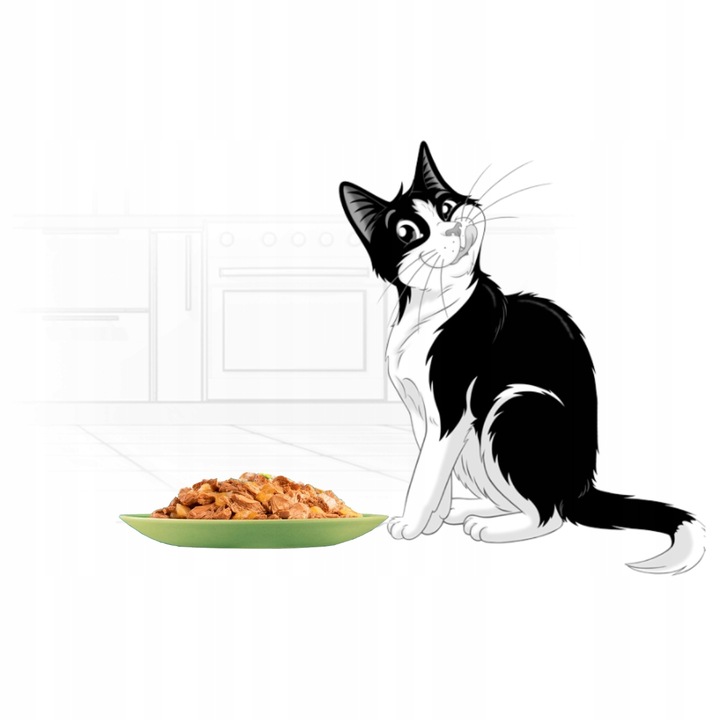 MOKRA KARMA DLA KOTA FELIX MIX SMAKÓW