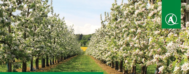 Nawóz Florovit Agro Complex NPK 12-11-18 25kg NISKA ZAWARTOŚĆ CHLORKÓW