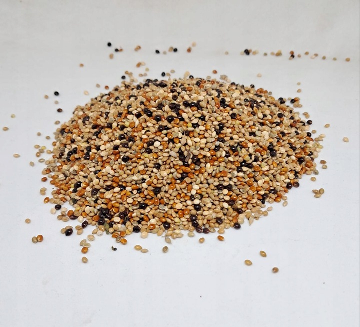 PetRa Proso ŚWIATA karma pokarm dla ptaków papug falistych egzotyka 10