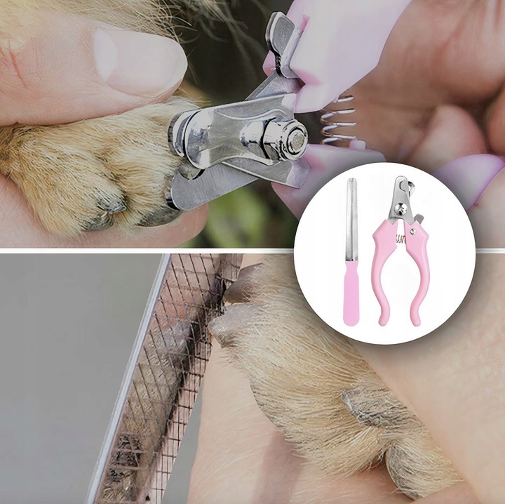 MASZYNKA DO STRZYŻENIA PSÓW PSA GOLARKA ZESTAW 11e