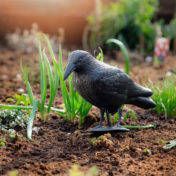 DUŻY KRUK ODSTRASZACZ PTAKÓW GOŁĘBI SZPAKÓW PTAKI NA BALKON CZARNY 3