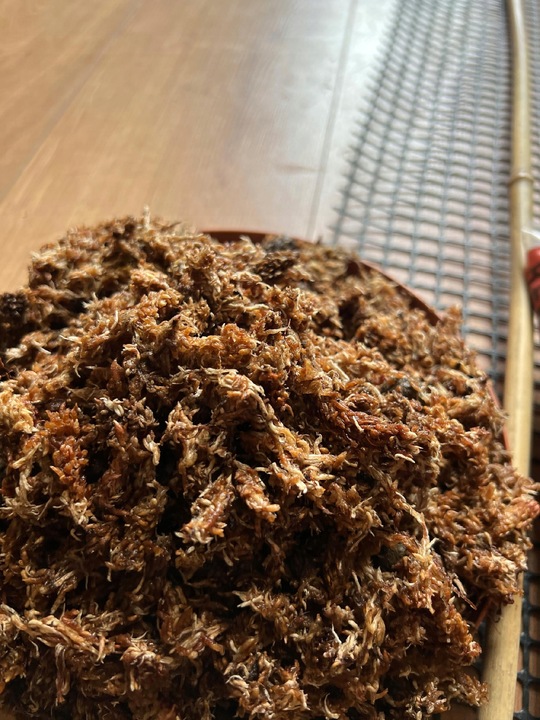 Palik z mchu 80cm sphagnum Podpora do roślin