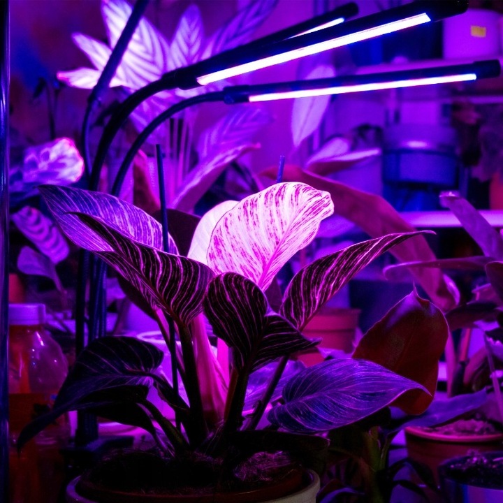 LAMPA DO WZROSTU UPRAWY ROŚLIN LED GROW LIGHT TIMER 9 POZIOMÓW ŚWIECENIA