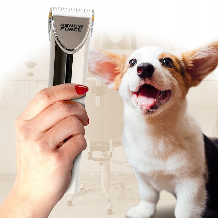 MOCNA Maszynka do strzyżenia PSÓW PSA zwierząt bezprzewodowa CICHA zestaw