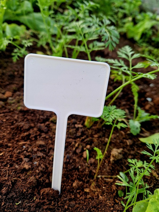 Tabliczki etykiety do opisu roślin PL producent 60x40x155 mm 100 szt.