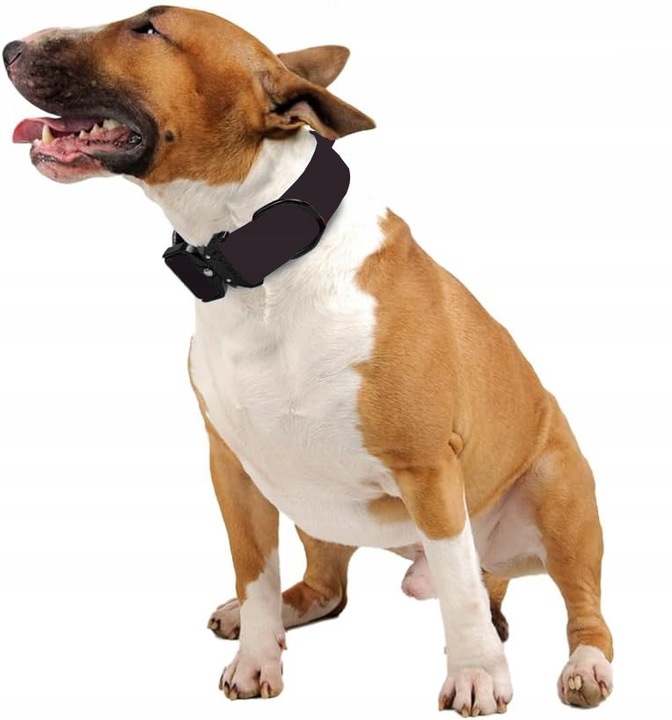 TAKTYCZNA OBROŻA QR DLA PSA MOCNA REGULOWANA POLICYJNA MOCNA 40-55cm L 4cm