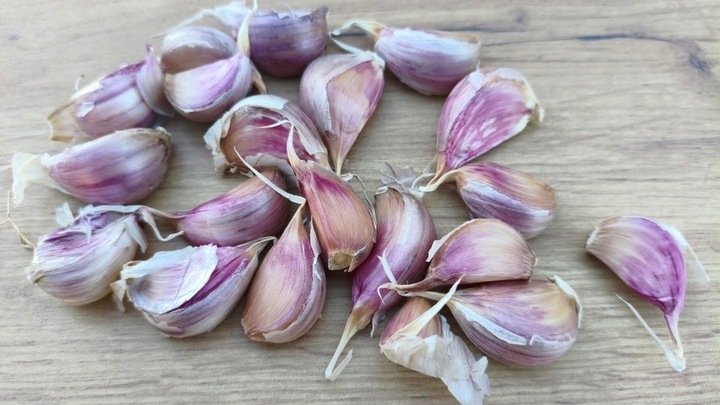 Czosnek Polski Harnaś zimowy 500g duże ząbki z własnej uprawy zdrowy