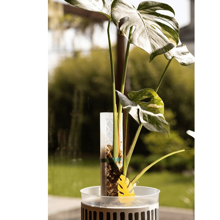 Podpora do roślin pnączy do mchu Sphagnum Palik Tyczka Do Monstery 50