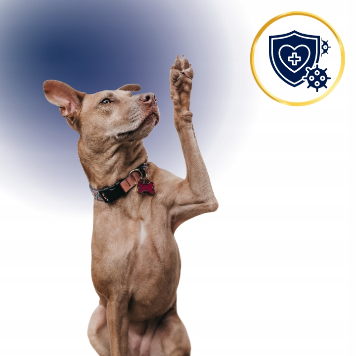 SUCHA KARMA DLA PSA POLARIS ADULT BEZ ZBÓŻ WOŁOWINA INDYK 12KG ŚWIEŻE MIĘSO