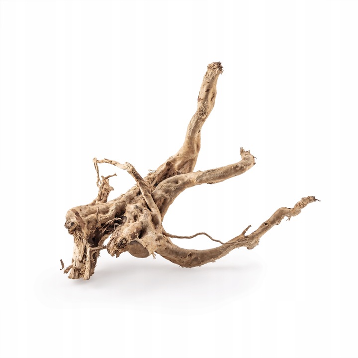 KORZEŃ DO AKWARIUM Red Moor Wood M 30cm OKAZY PREMIUM