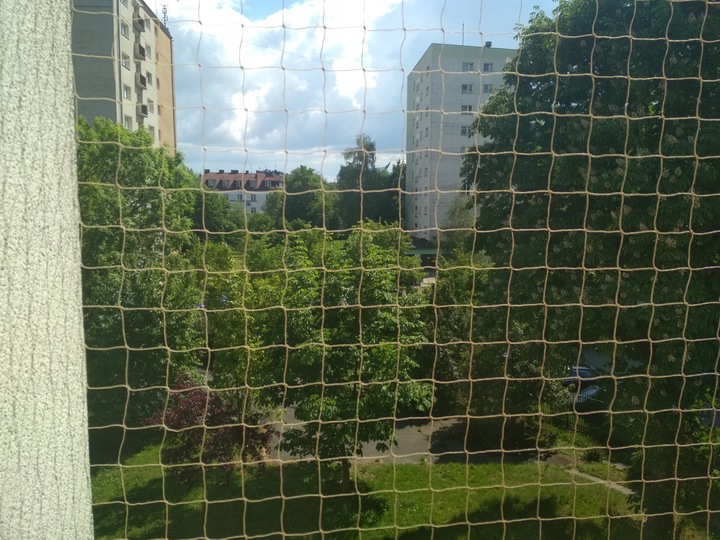 SIATKA ZABEZPIECZAJĄCA NA BALKON DLA KOTA PRZECIWKO PTAKOM 2x3m