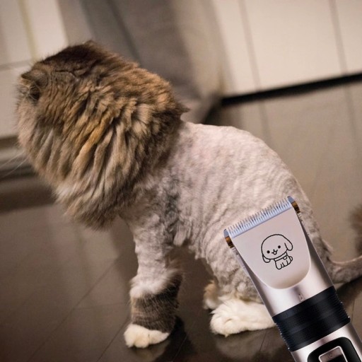 MASZYNKA DO STRZYŻENIA PSA PSÓW KOTÓW ZWIERZĄT GOLARKA ZESTAW CICHA 12W1