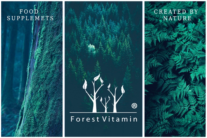 MSM SIARKA ORGANICZNA KOLAGEN STAWY KOŚCI MOCNA