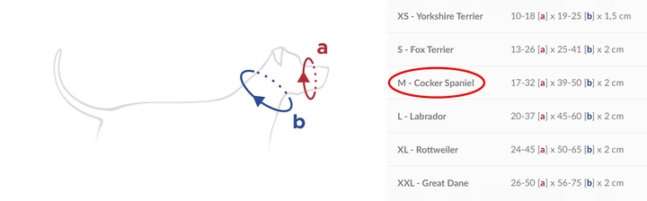 amiplay Obroża Uzdowa Halter Basic M Czarna