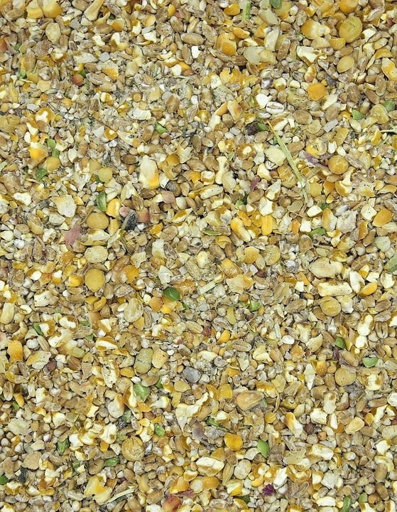 Naturalna karma dla kur niosek Szczęśliwa kurka Z ZIOŁAMI 20 kg MDM