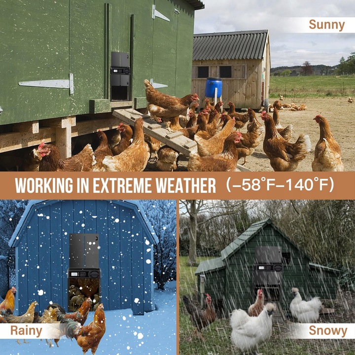 Automatyczne Drzwi Do Kurnika Z Timerem Blokada Przytrzaśnięcia Wodoodporne